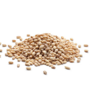 Sesame seeds